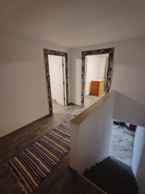 Trei insule Home, Arad